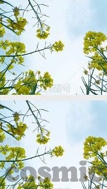 7m足球比分手机板-7m足球比分手机版，球迷的掌中宝，实时赛事尽在掌握