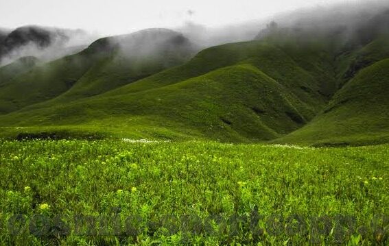 走地足球比分-走地足球比分，实时追踪赛场风云的激情指南