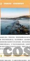 足球比分大神-揭秘足球比分大神，绿茵场上的数字预言家