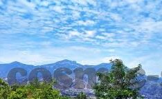 足球比分直播老板-揭秘足球比分直播老板，幕后操盘手的财富密码与行业风云