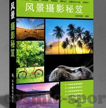 足球即是时比分90-足球即诗，90分钟的跌宕与永恒
