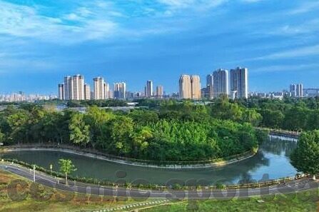 足球实时比分球探网-足球实时比分球探网，球迷的数据宝库与战术智囊